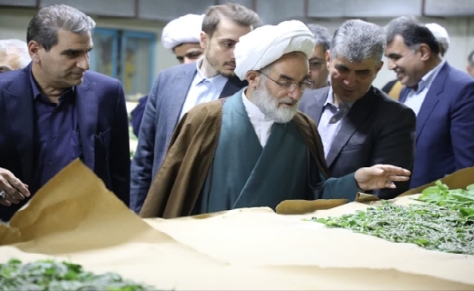 تقویت اقتصاد روستاهای گیلان با احیای نوغانداری