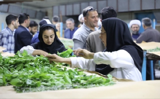 تقویت اقتصاد روستاهای گیلان با احیای نوغانداری