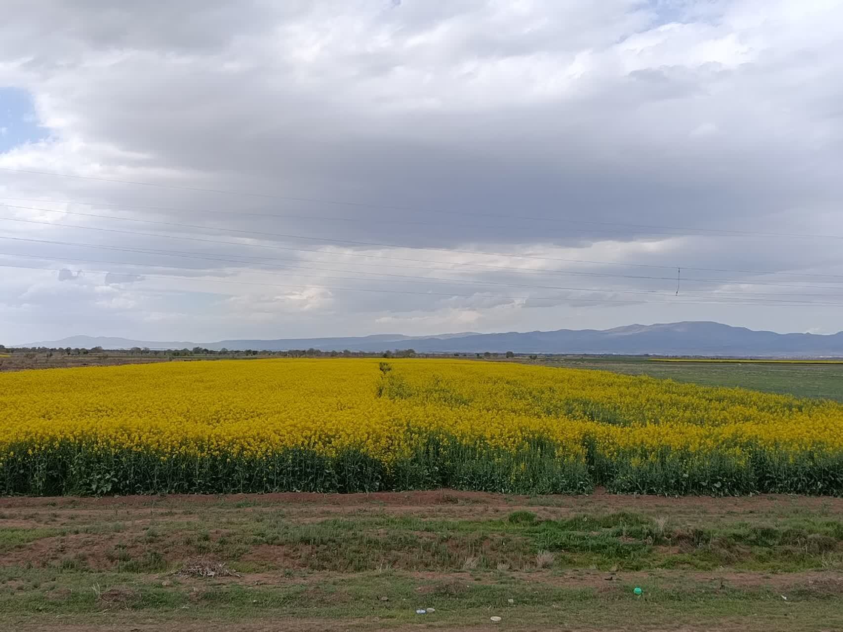 نگاهی به دشت زیبای استان قزوین از لنز دوربین شهروندخبرنگار