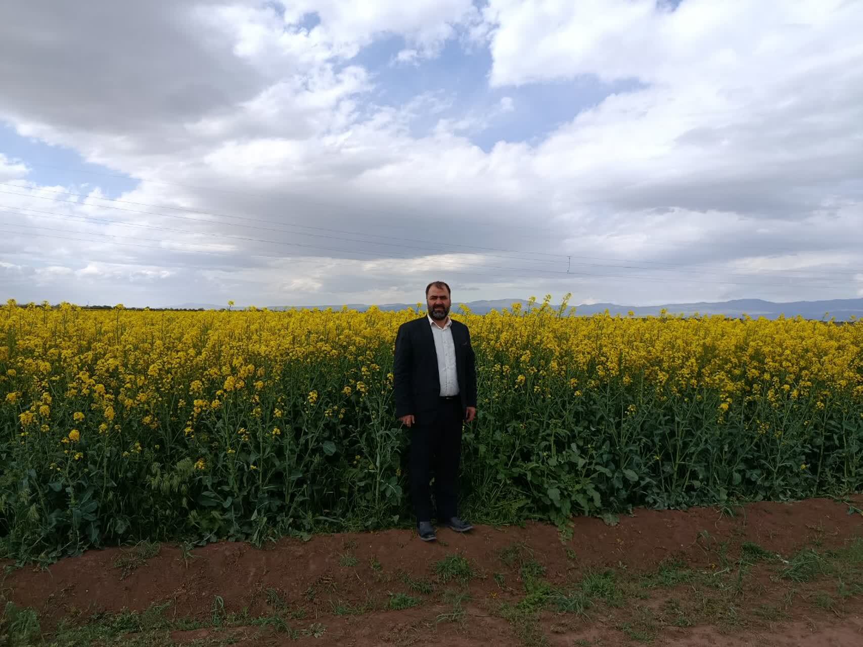 نگاهی به دشت زیبای قزوین