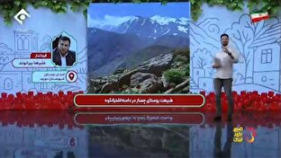 محصولاتی که در شهرستان درود کشت می‌شود + فیلم