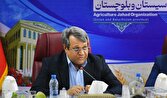 تأمین مطلوب کالاهای اساسی و گوشت قرمز در سیستان و بلوچستان/ ترخیص گسترده کالا از بندر شهید بهشتی