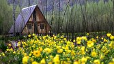 طبیعت ده‌چشمه در اوج زیبایی بهاری + تصاویر