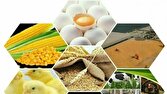 توزیع بیش از ۱۸۵ هزار تن انواع نهاده های کشاورزی و دامی در آذربایجان غربی