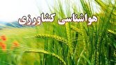 باشگاه خبرنگاران -پایش سن در مزارع گندم و جو در دستور کار قرار بگیرد/ هشدار تسریع در برداشت محصولات زراعی