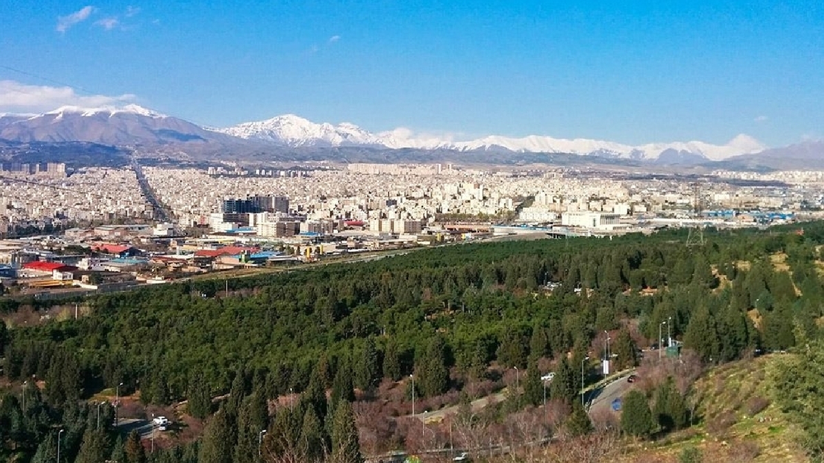 باشگاه خبرنگاران -سمپاشی درختان سرخه‌حصار برای پیشگیری از شیوع آفت سوسک پوستخوار