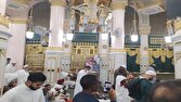 مدينه،زائران،تشرف،شريفه