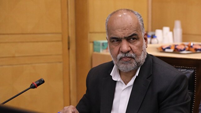 مجلس،كشور،تسهيلات،اشتغال،صباغيان،برق،نماينده،حمايت،مشكلات،اق ...