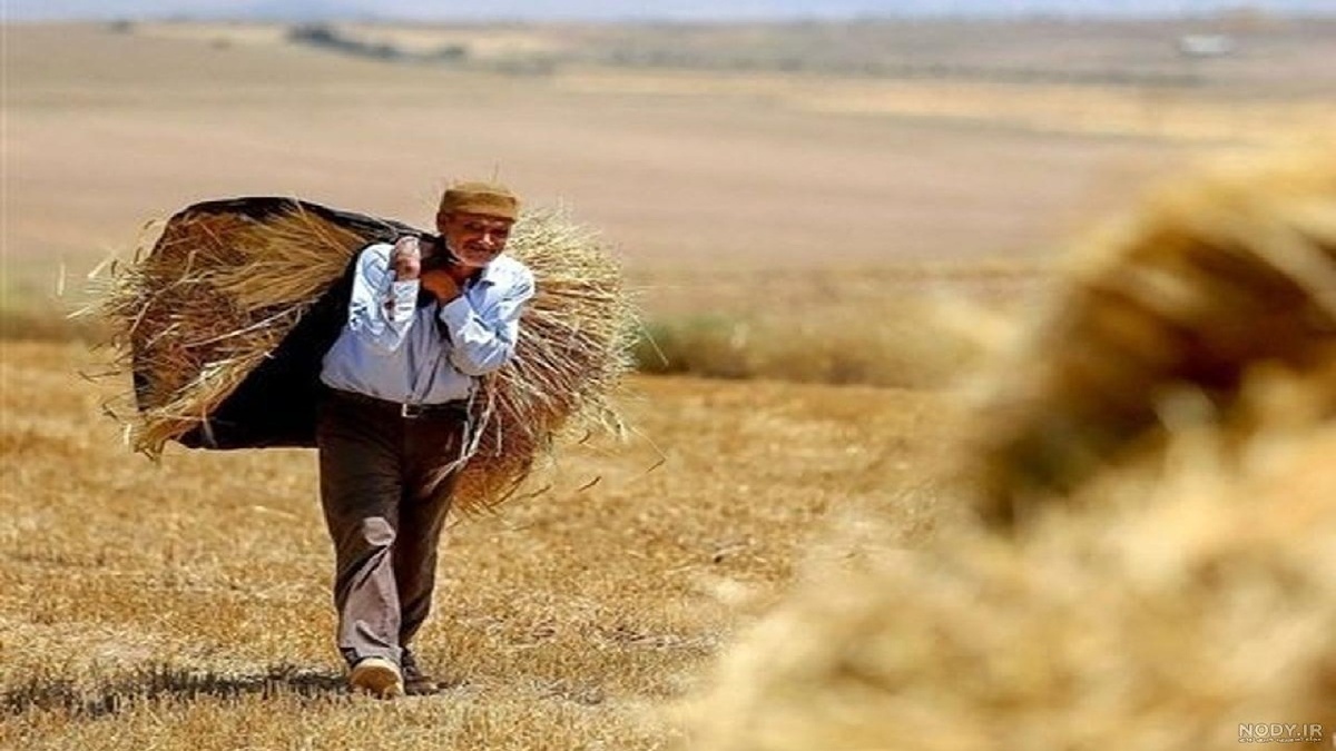باشگاه خبرنگاران -خوزستان؛ کشاورزی در بحرانِ اعتبار!