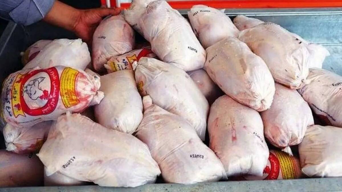 باشگاه خبرنگاران -توزیع گسترده مرغ منجمد در کردستان برای تنظیم بازار و تثبیت قیمت‌ها