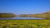 به تماشای تالاب سولقان در بهار بنشینید + تصاویر