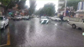 فیلمی از بارش باران و تگرگ در اهر به وقت بهار