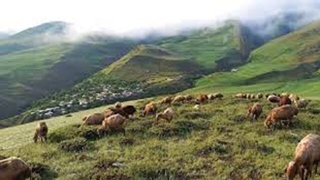 جدیدترین و مهمترین اخبار اردبیل | خبرگزاری باشگاه خبرنگاران