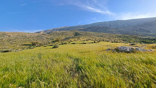 جدیدترین و مهمترین اخبار فارس | خبرگزاری باشگاه خبرنگاران