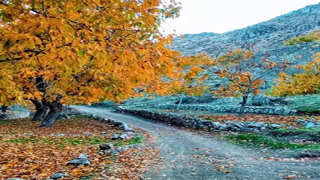 جدیدترین و مهمترین اخبار کرمانشاه | خبرگزاری باشگاه خبرنگاران