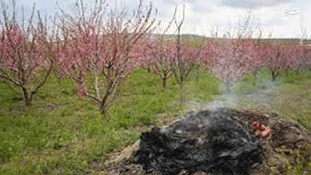 کاهش چشمگیر خسارات سرمازدگی در باغات آذربایجان‌غربی با اطلاع‌رسانی هدفمند و ترویج فناوری های نوین