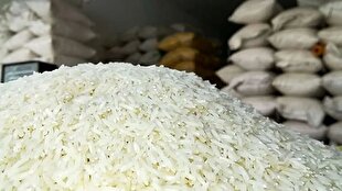 کشف محموله بزرگ یک هزار و ۸۰۰ تُنی برنج احتکار شده در بندرعباس