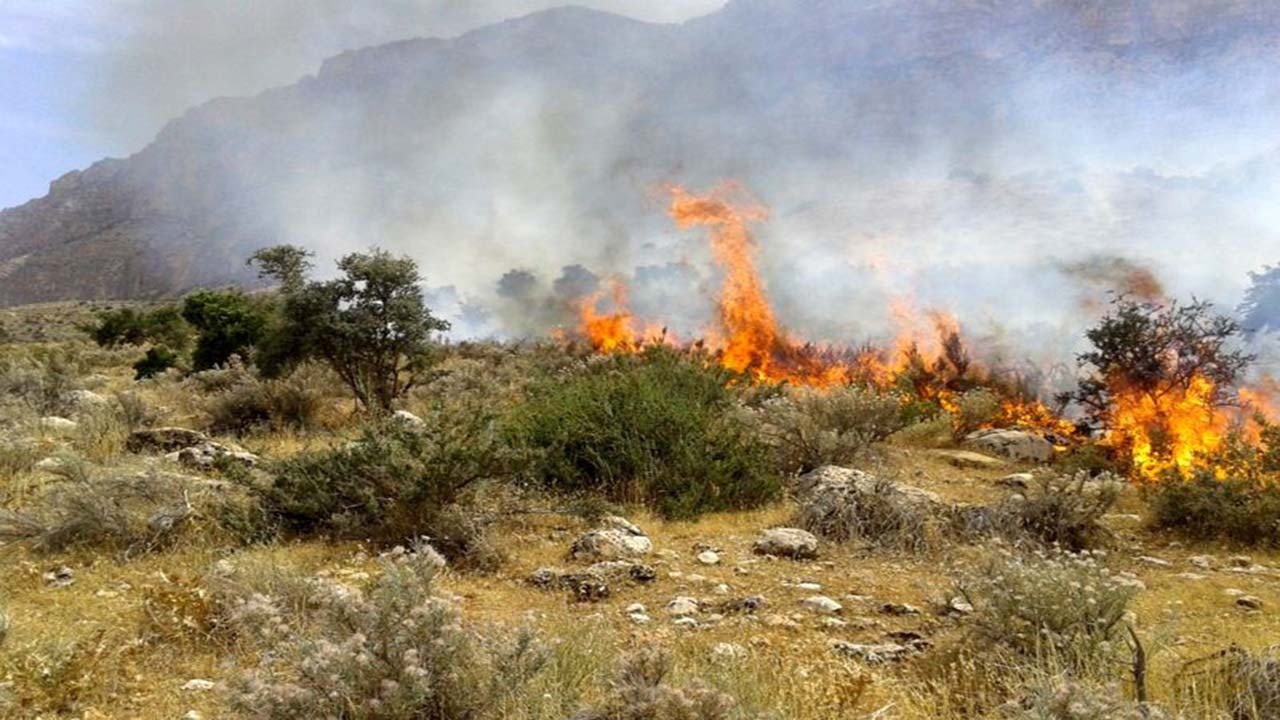 از آتش در مراتع تا زباله در شهر؛ ضرورت همکاری برای نجات طبیعت در فارس