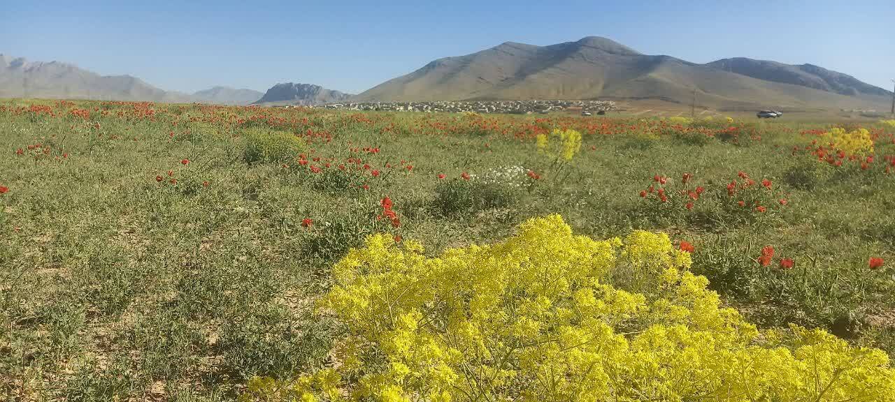 سفر بهاری دشت سرسبز وردنجان