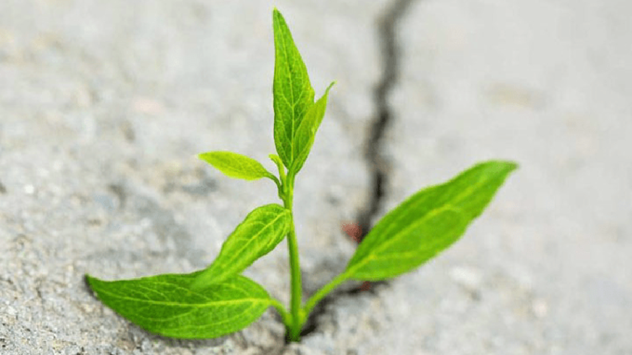 ۷ راهکار عملی برای اقدام در شرایط نامطمئن