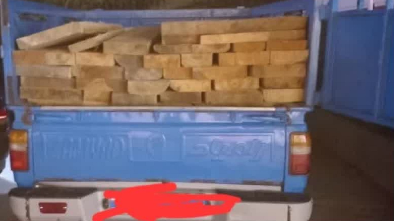 کشف ۳ تن چوب جنگلی قاچاق از نوع توسکا در آمل