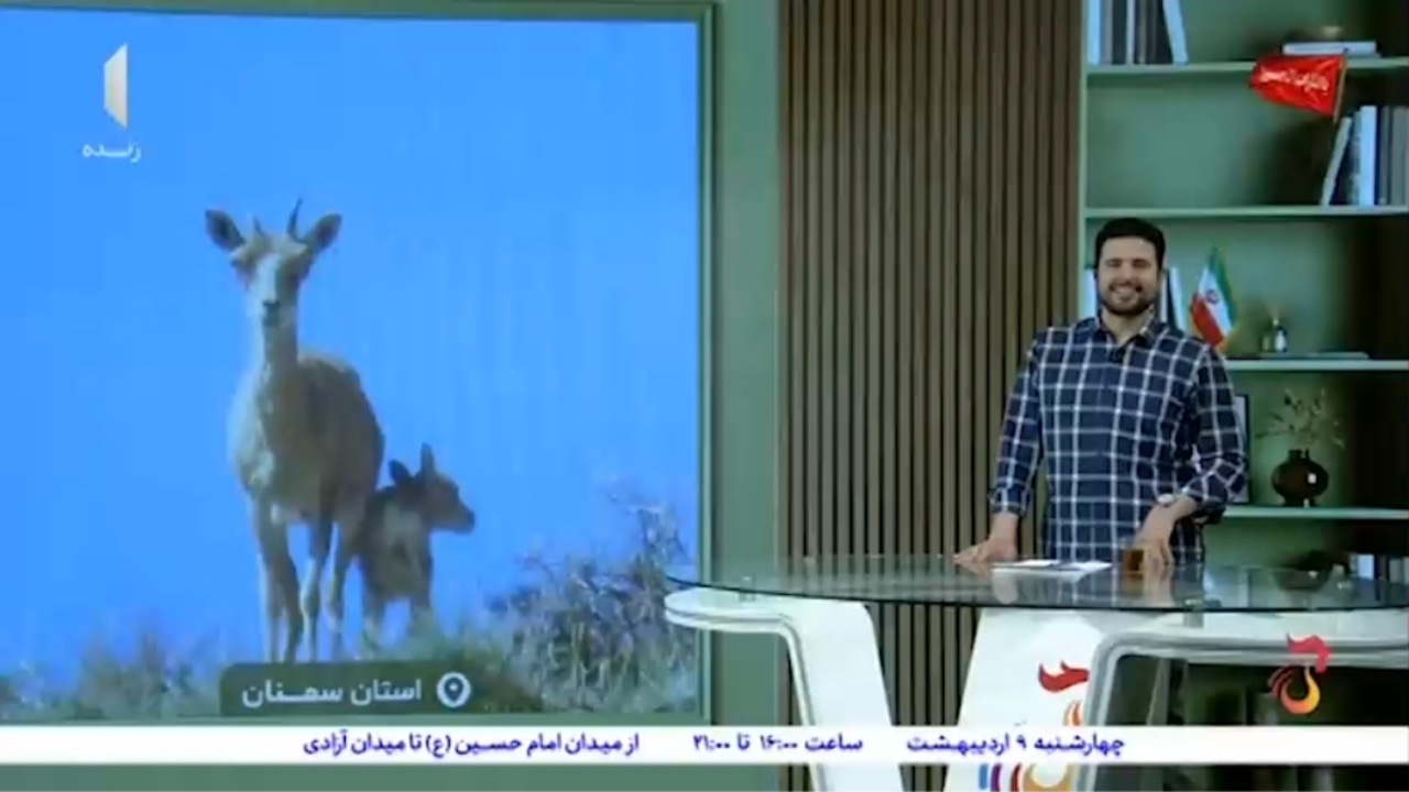 نگاهی به تنوع زیستی و حیواناتی که در پارک ملی توران وجود دارند + فیلم