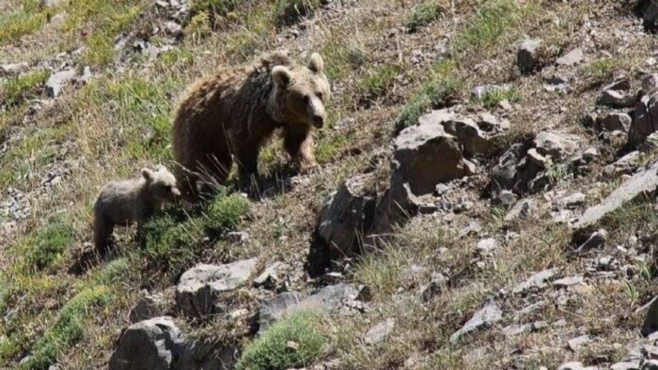 هشدار نسبت به حضور بی‌احتیاطانه انسان همزمان با فصل زادآوری حیات‌وحش