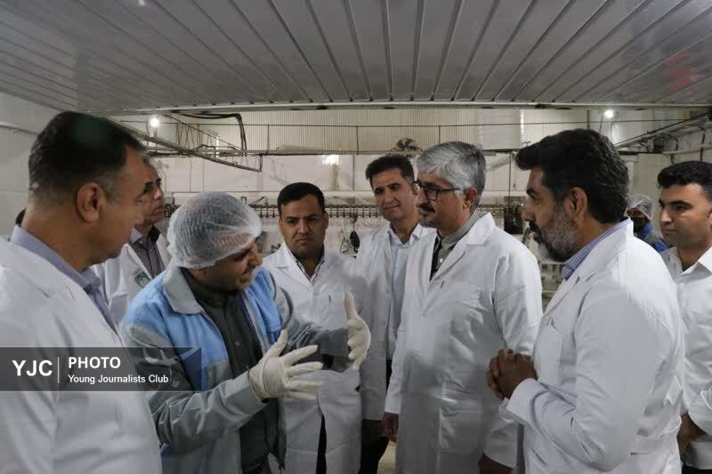 احیای کشتارگاه لارستان پس از ۹ سال توقف