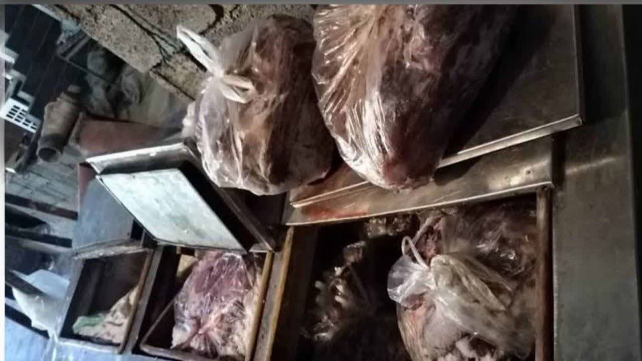 کشف ۳۷۸ کیلو گوشت گراز در شهرستان ساری