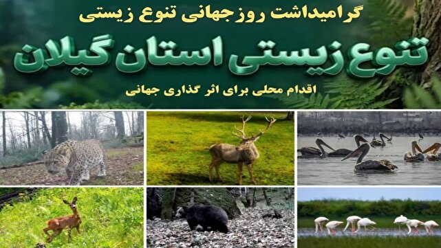 اقدام محلی، اثرگذاری جهانی؛ گیلان گنجینه‌ای از تنوع زیستی ایران + فیلم