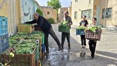 وقف یک تن سبزی به نیابت از شهید آیت‌الله رئیسی و شهدای جنگ رمضان در نهاوند