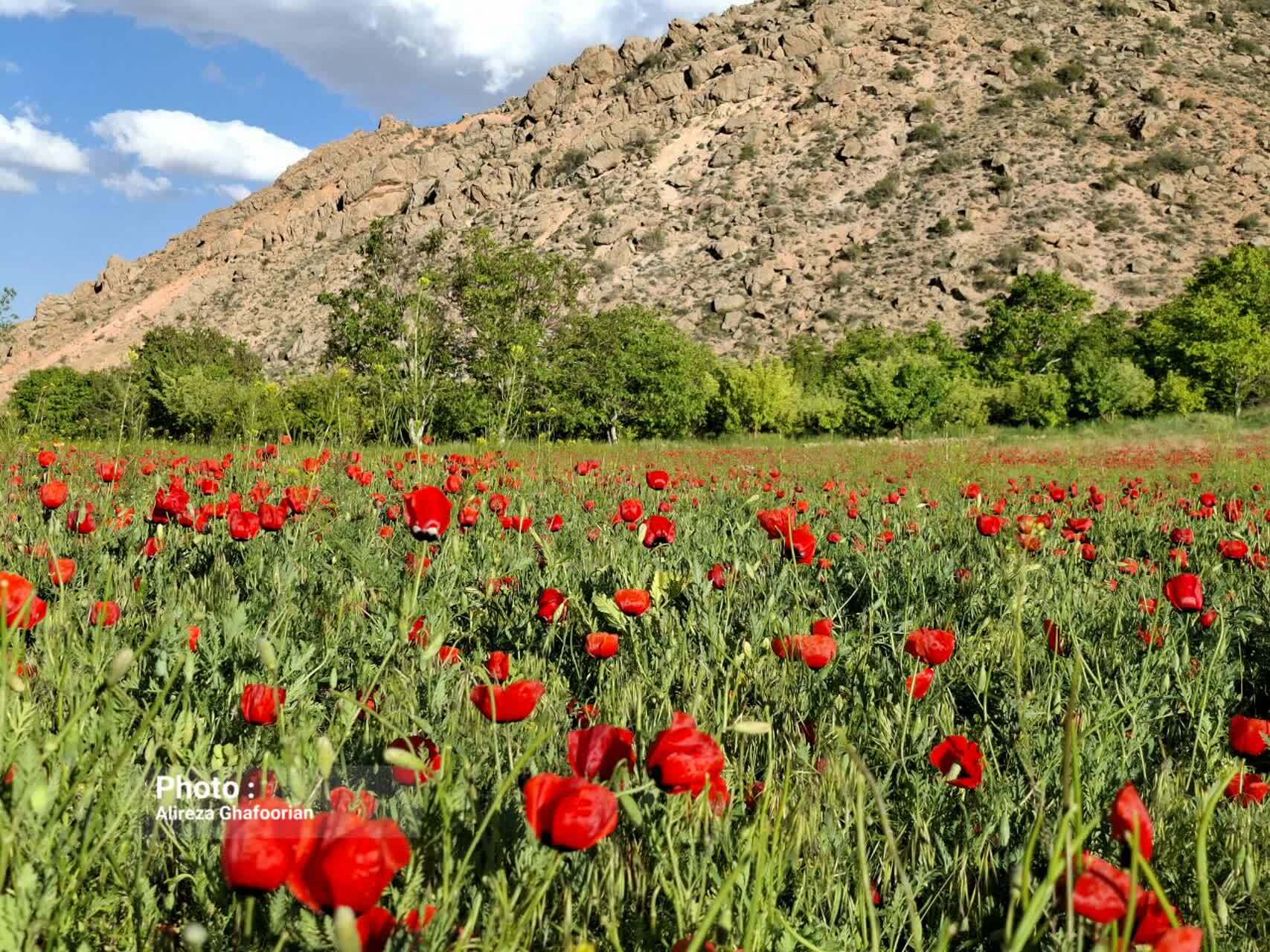 سفر بهاری به ماسوله کویر ایران