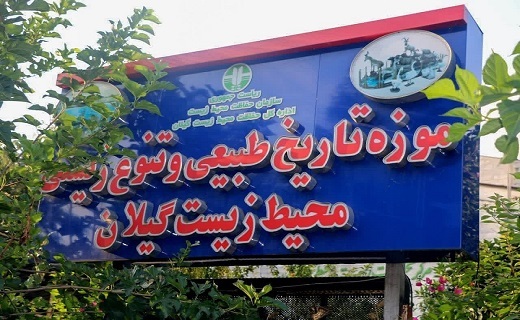 موزه تاریخ طبیعی و تنوع زیستی گیلان، موزه برتر کشور