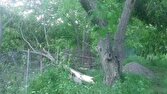 خسارت ۲۱۰ میلیارد تومانی طوفان و تند باد به بخش کشاورزی هوراند