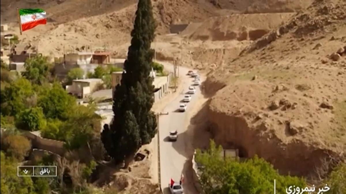 سرو شادکام، میراث زنده در دل کویر + فیلم