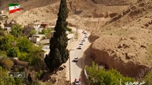 سرو شادکام، میراث زنده در دل کویر + فیلم