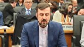 مدرسه،ميناب،شجره،طيبه،مزار،زمان،اندوه،كودكاني،خالي