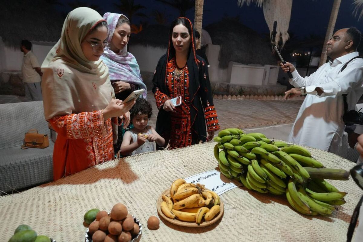باشگاه خبرنگاران -چشیدن طعم چیکو، پاپایا و گواوا؛ تجربه متفاوت گردشگران در دَرَک