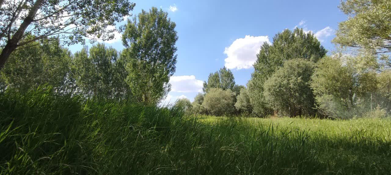 یوخاری&zwnj;چای صالح&zwnj;آباد؛ طبیعتی سبز و خاطره&zwnj;ساز در دل همدان