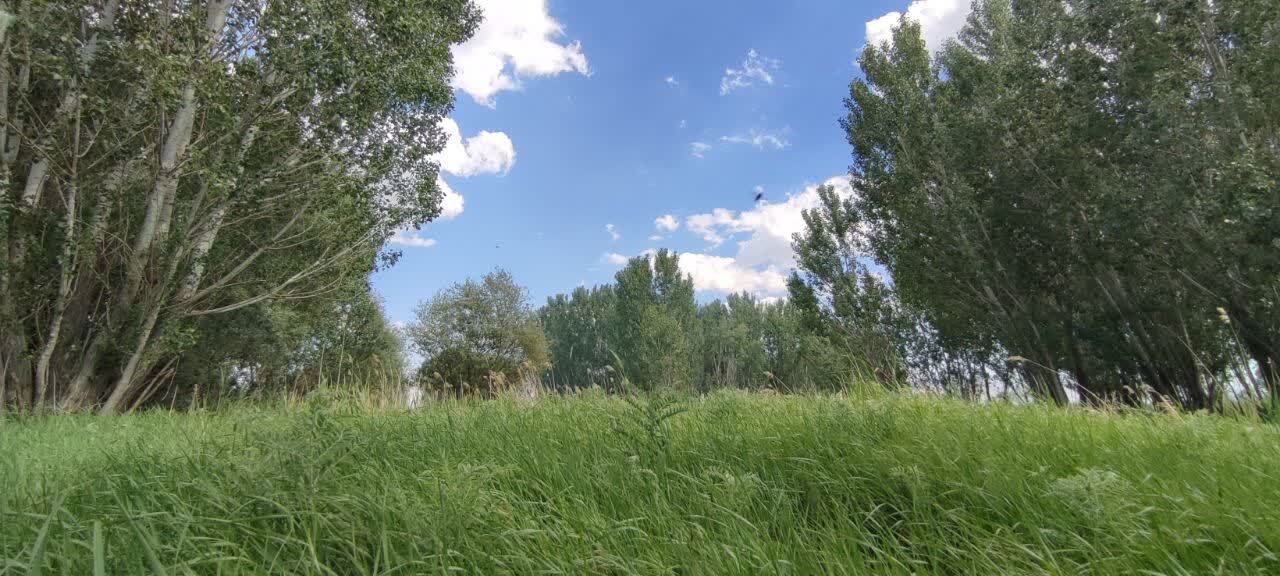 یوخاری&zwnj;چای صالح&zwnj;آباد؛ طبیعتی سبز