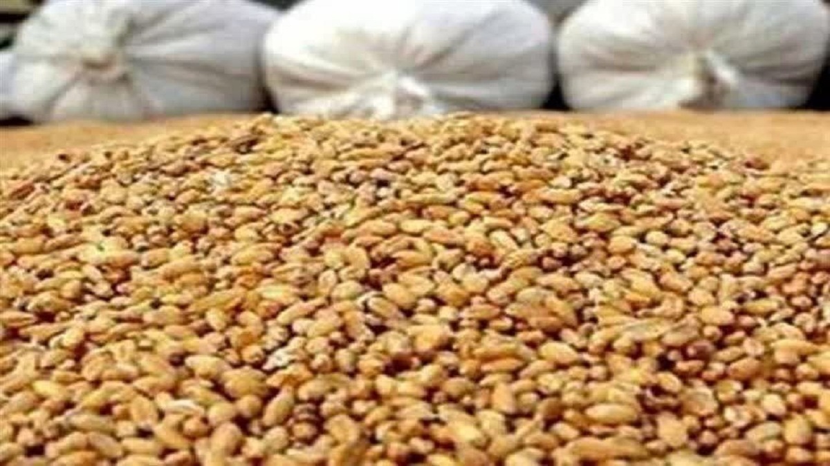 باشگاه خبرنگاران -کشف ۱۷۰ تن نهاده دامی و کود شیمیایی احتکار شده در قم