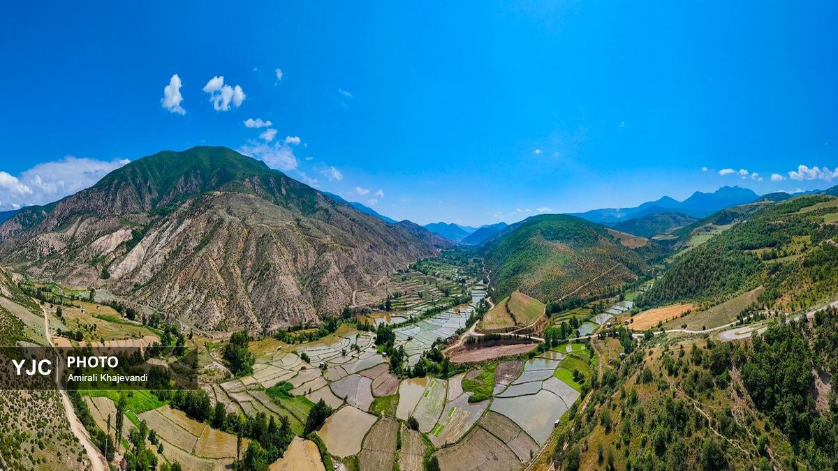 آغاز نشاکاری برنج در کوهستان‌های مازندران