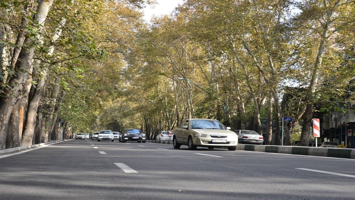 باشگاه خبرنگاران -خیابان انقلاب و ولیعصر (عج) بازپیرایی می‌شود