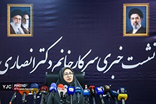 نشست خبری رئیس سازمان حفاظت محیط زیست