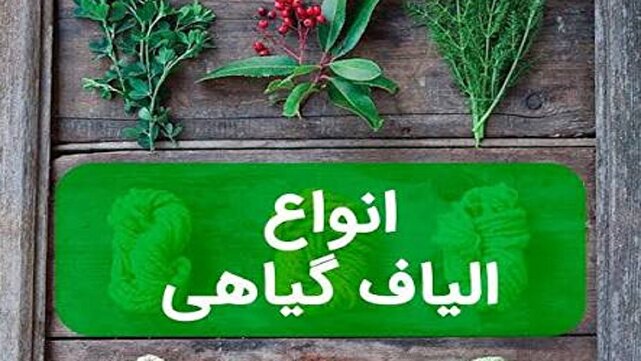 استفاده از الیاف گیاهی دستاورد جدید مرکز رشد و نوآوری دانشگا