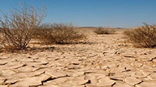 تلاش‌های ۵۰ ساله برای مهار بیابان در البرز