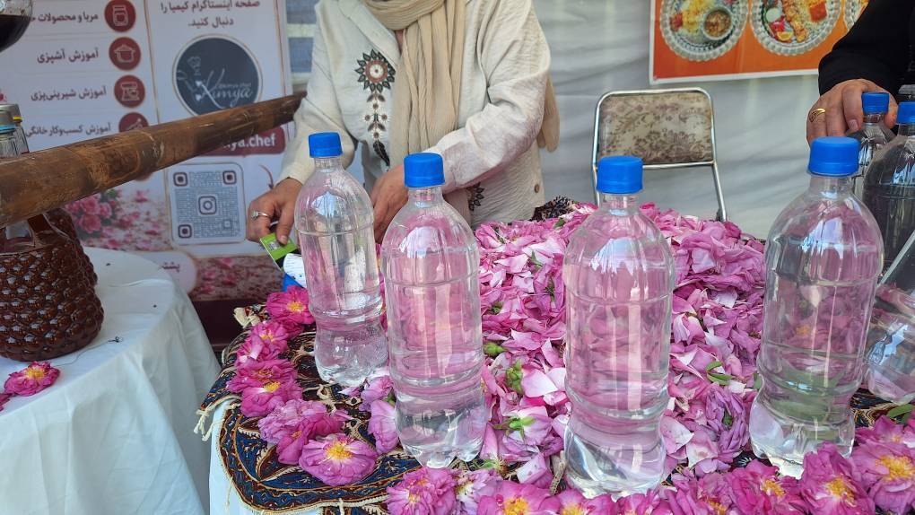 ثبت جشنواره گلاب گیری خوی در رویدادهای گردشگری ملی جمهوری اسلامی +فیلم وعکس