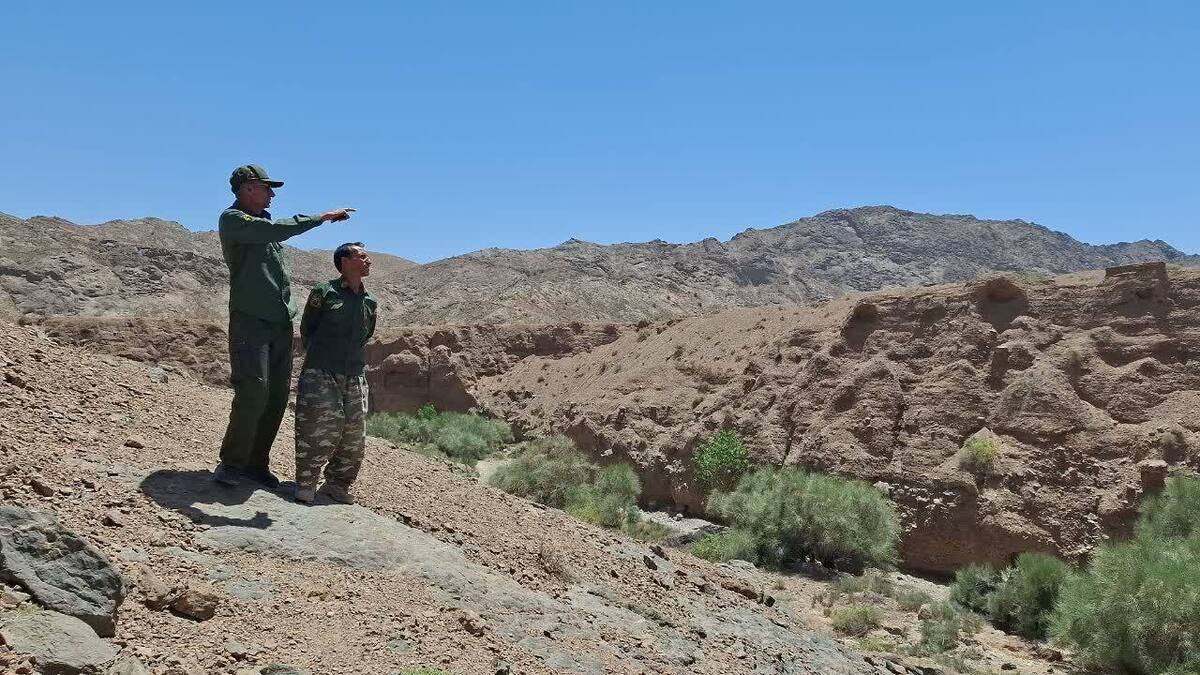 باشگاه خبرنگاران -آغاز طرح ملی ماکان در یزد