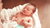 اقتصاد و افزایش هزینه‌های زندگی، تهدیدی برای فرزندآوری در البرز