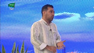 مقایسه نخل نیکولا و باباآدم + فیلم